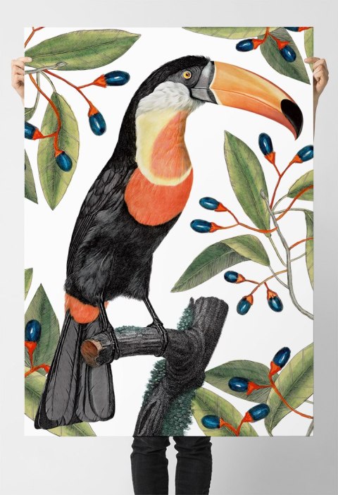 Plakat tukan w liściach