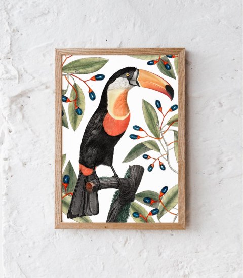 Plakat tukan w liściach