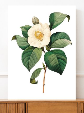 Plakat vintage biały kwiat