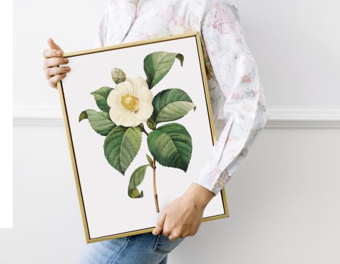 Plakat vintage biały kwiat