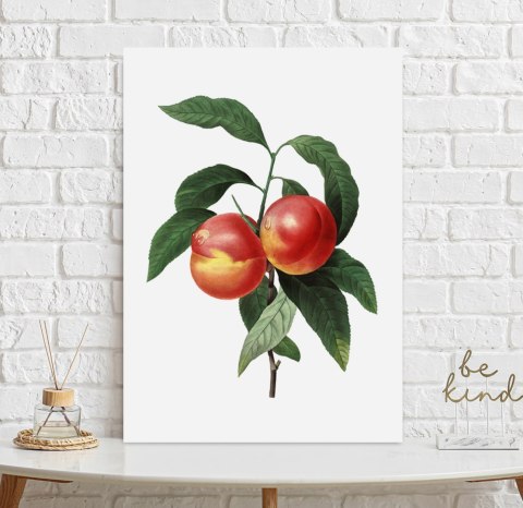 Plakat vintage brzoskwinia kwiat