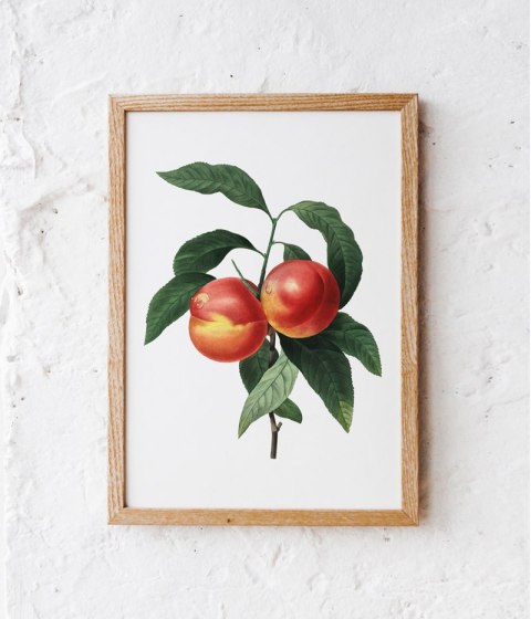 Plakat vintage brzoskwinia kwiat