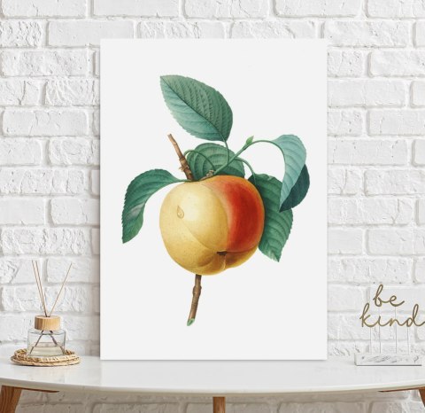 Plakat vintage jabłko kwiat