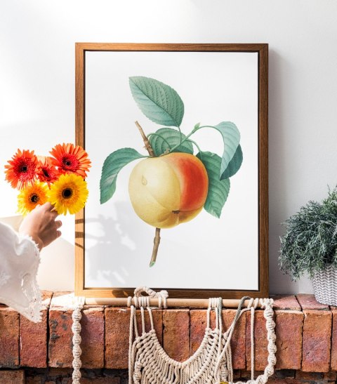 Plakat vintage jabłko kwiat