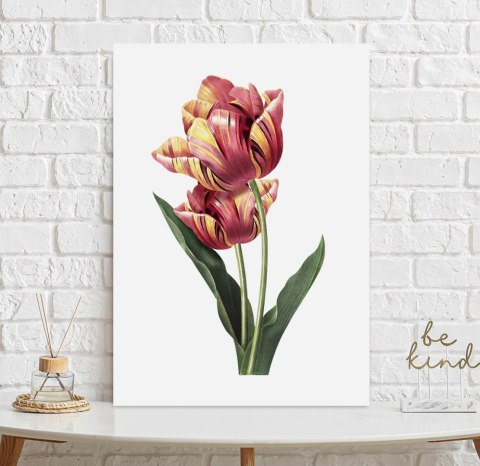 Plakat vintage tulipan kwiat