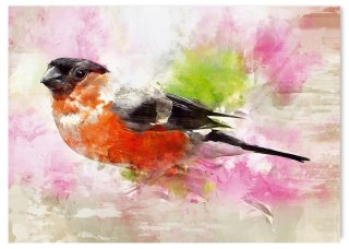 Plakat z PTAKIEM ABSTRAKCJA kolorowy