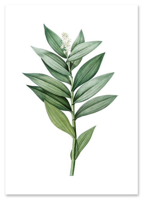 Plakat zielona gałązka