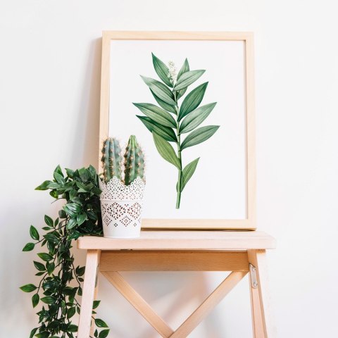 Plakat zielona gałązka