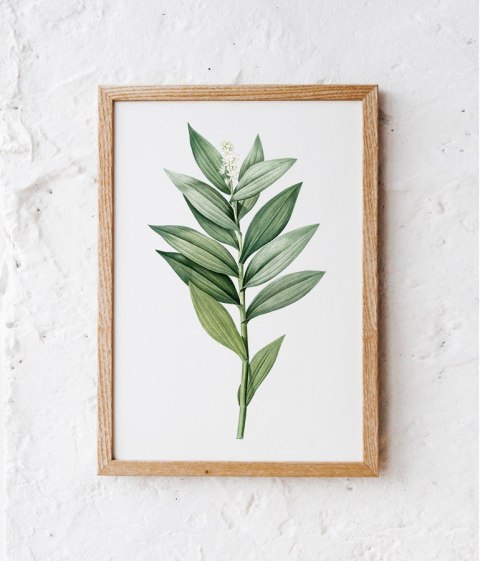 Plakat zielona gałązka