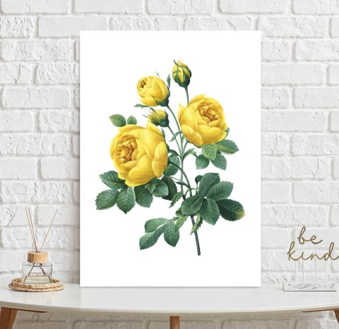 Plakat żółta róża vintage