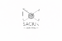 Saciuk Bow Ties